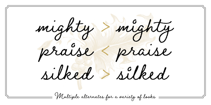 Braisetto Font Family插图5