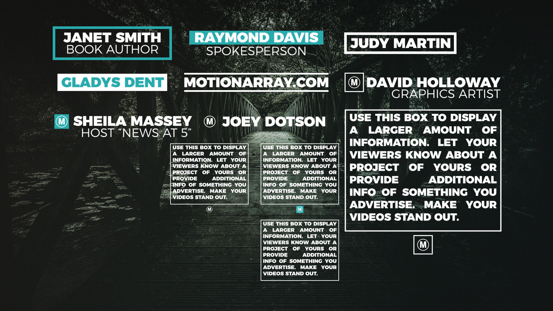 12个酷炫干净创意的低三分之一和全屏标题动画素材库精选AE模板