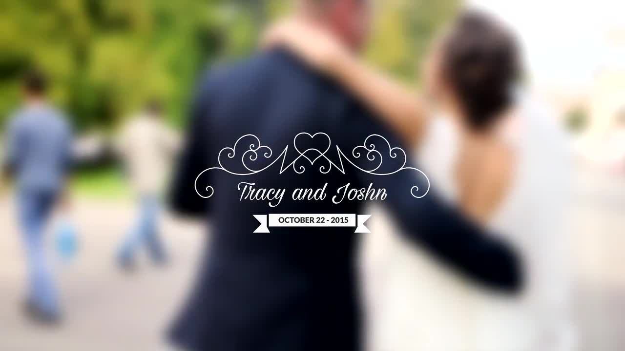 婚礼标题快速编辑素材库精选AE模板