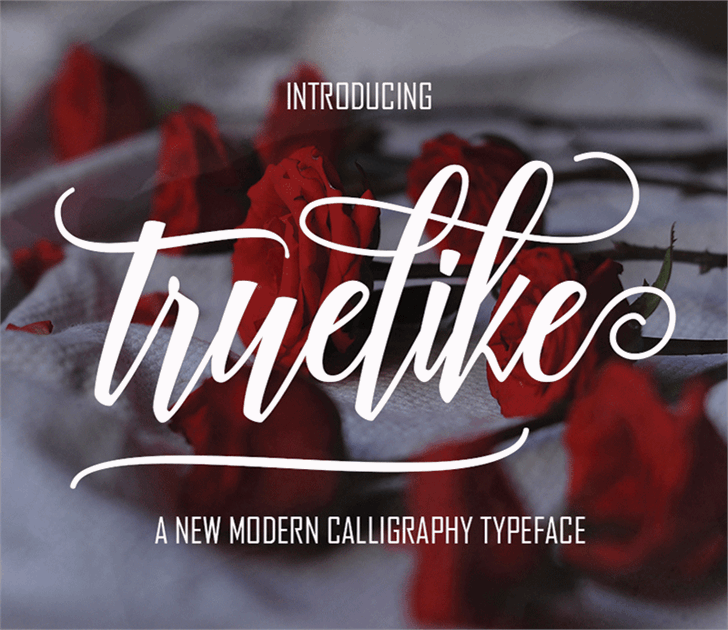 Truelike font插图