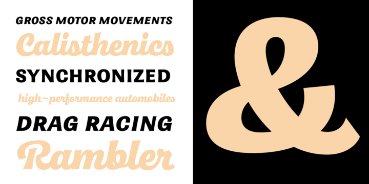 Quida Font Family插图2