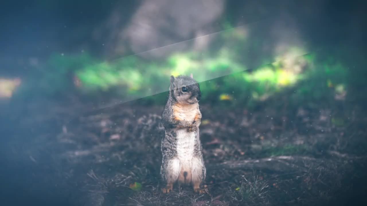 时尚简介的幻灯片演示动画素材库精选AE模板