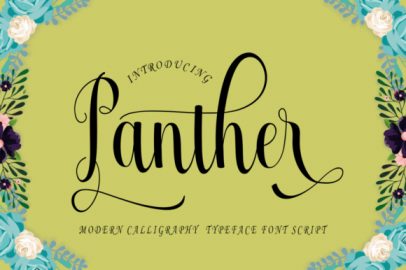 Panther Typeface素材之家精选英文字体