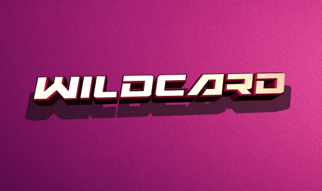 Wildcard font素材之家精选英文字体