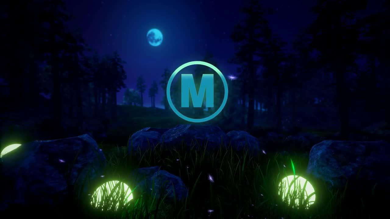 夜间的史诗自然标志显示素材库精选AE模板