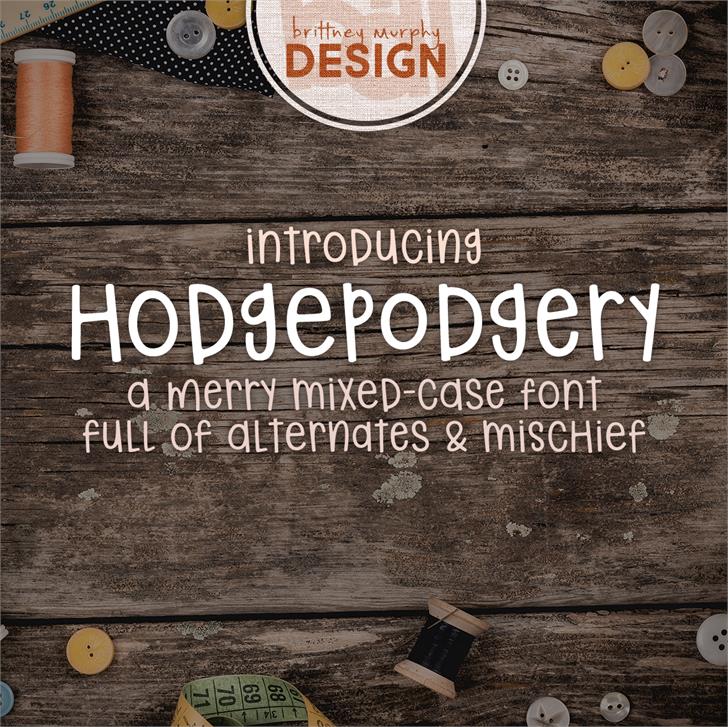 hodgepodgery font插图2