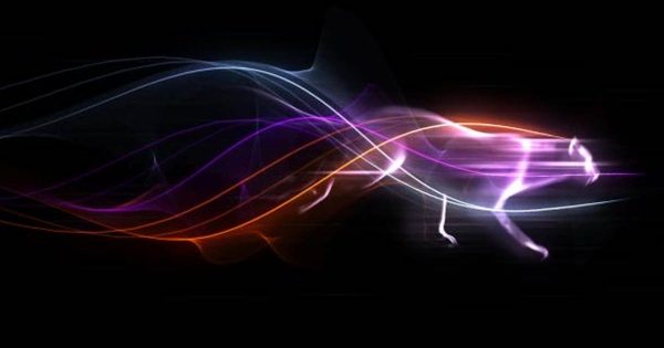 光线动画特效Logo演示素材库精选AE模板 Colorful Trails Logo