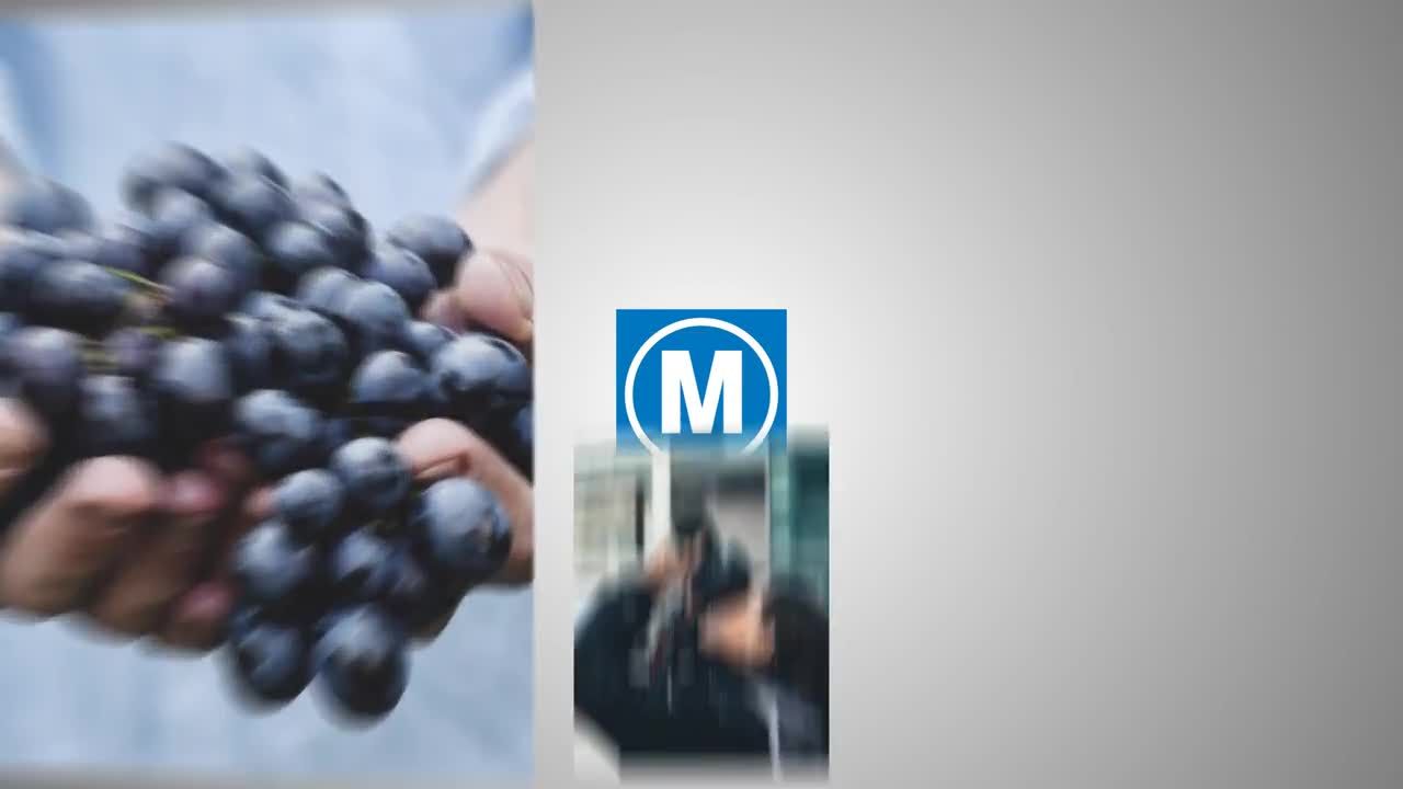 弹跳照片墙展示幻灯片素材库精选AE模板