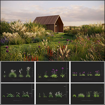 224款小草野草野花绿色植物3DMAX模型