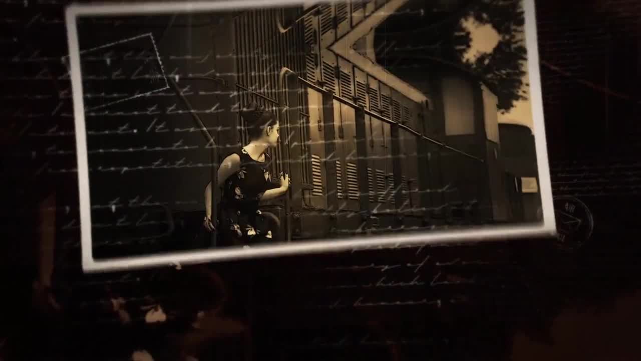 外观精美的水墨幻灯片素材库精选AE模板