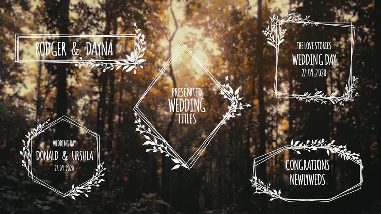 5个平滑简洁的动画素材库精选AE模板