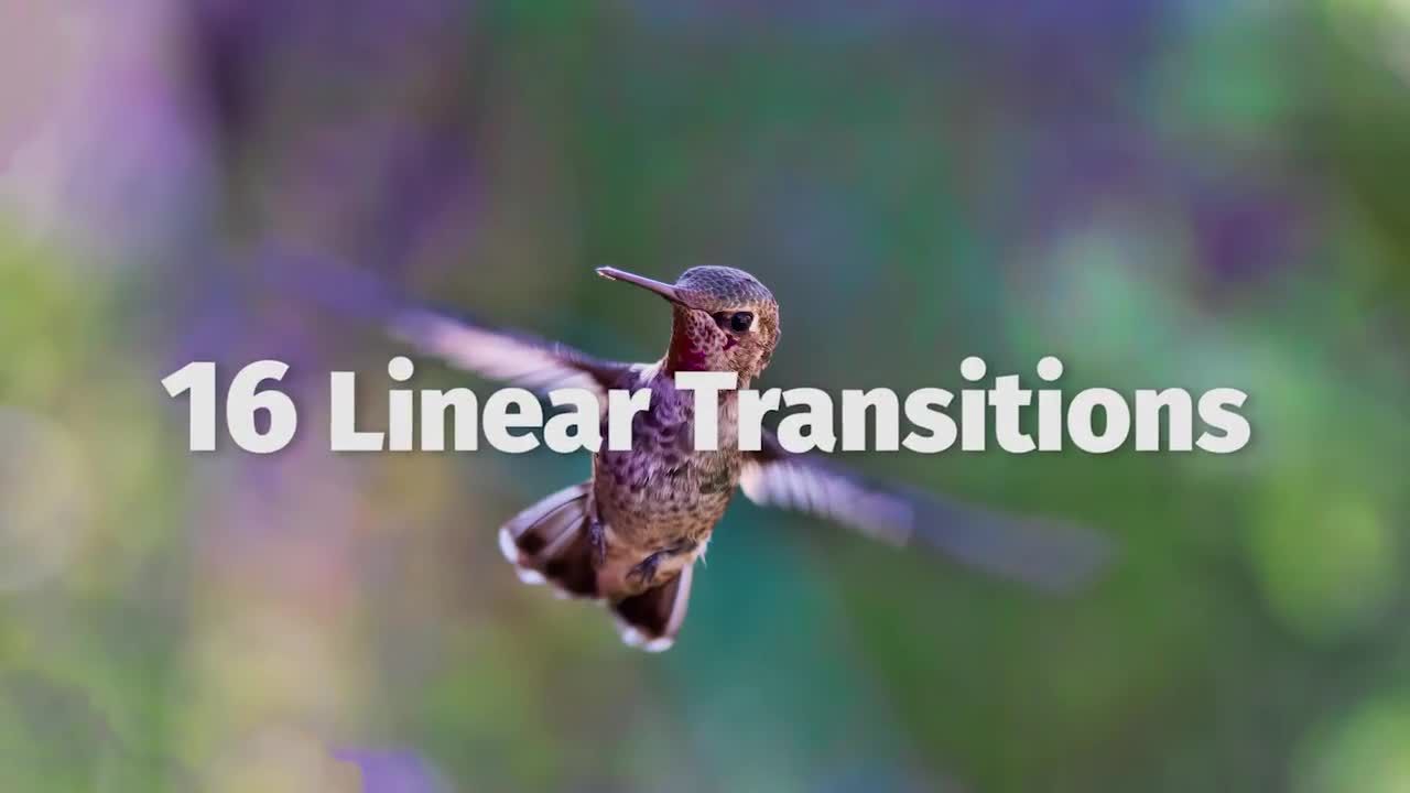 线性过渡效果广告照片展示素材库精选pr模板