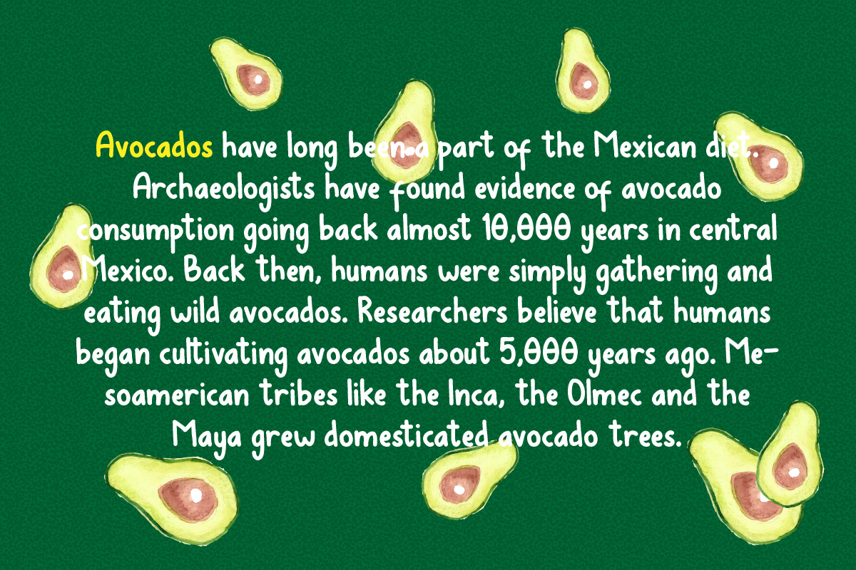 Avocados Font插图5