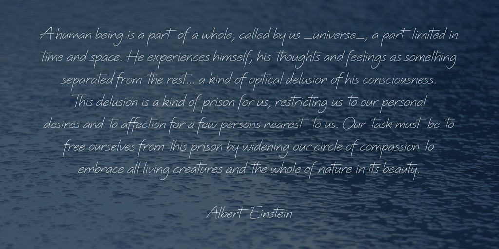 Quinzey Font Family插图2