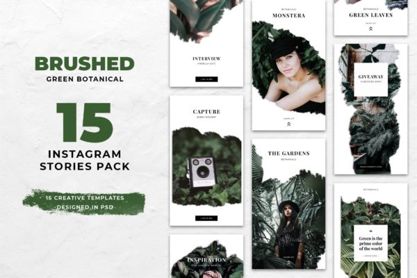 笔画笔刷图形Instagram社交设计模板素材库精选 Botanical Brush Instagram Stories