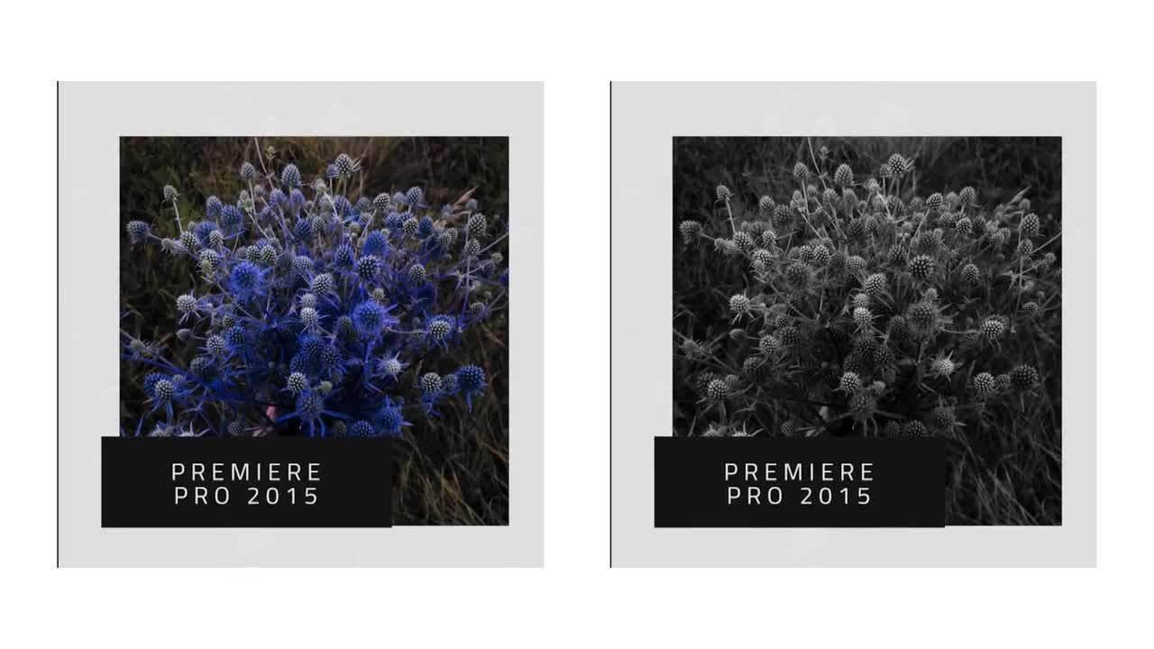 动态最小促销+方形版多功能动画素材库推荐PR模板