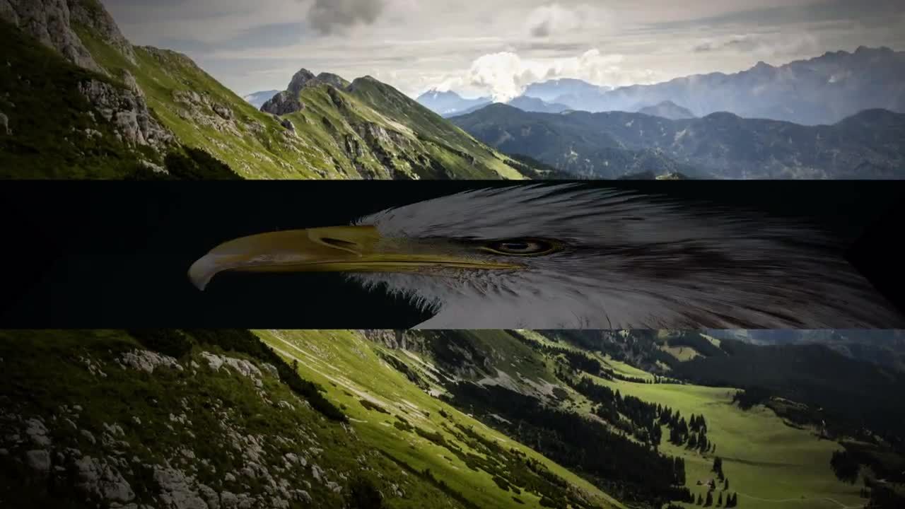 独特的动画折叠展示素材库精选AE模板