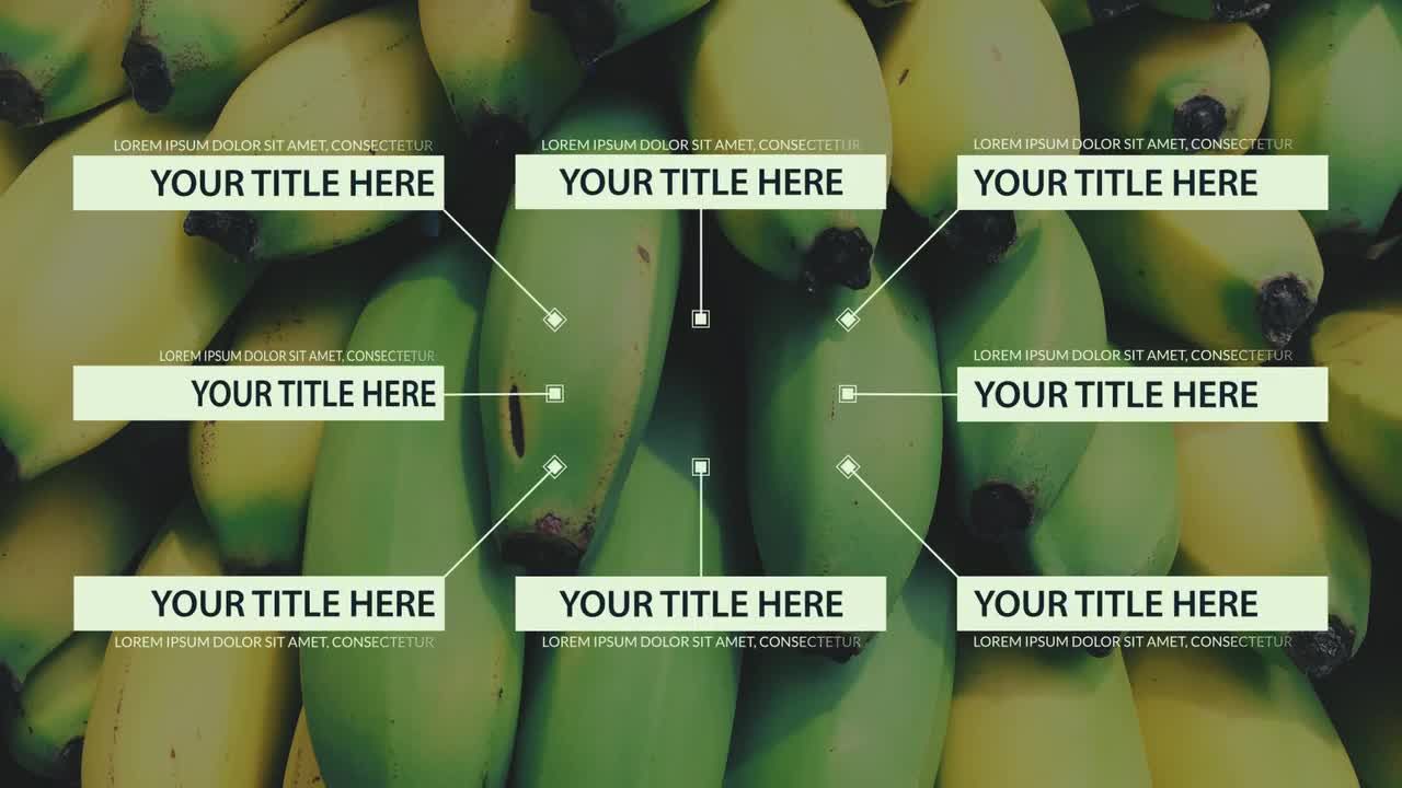 33个独特的宣传资料集素材库精选AE模板