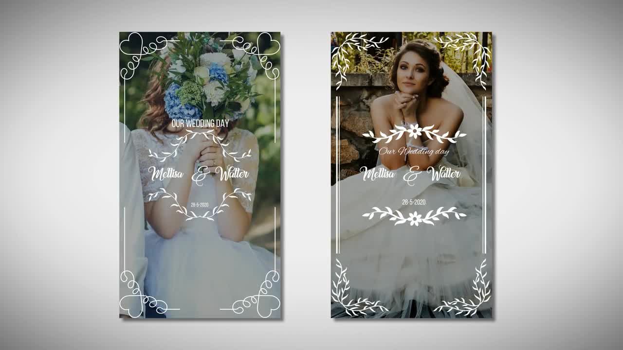 垂直竖屏婚礼动画素材库精选AE模板