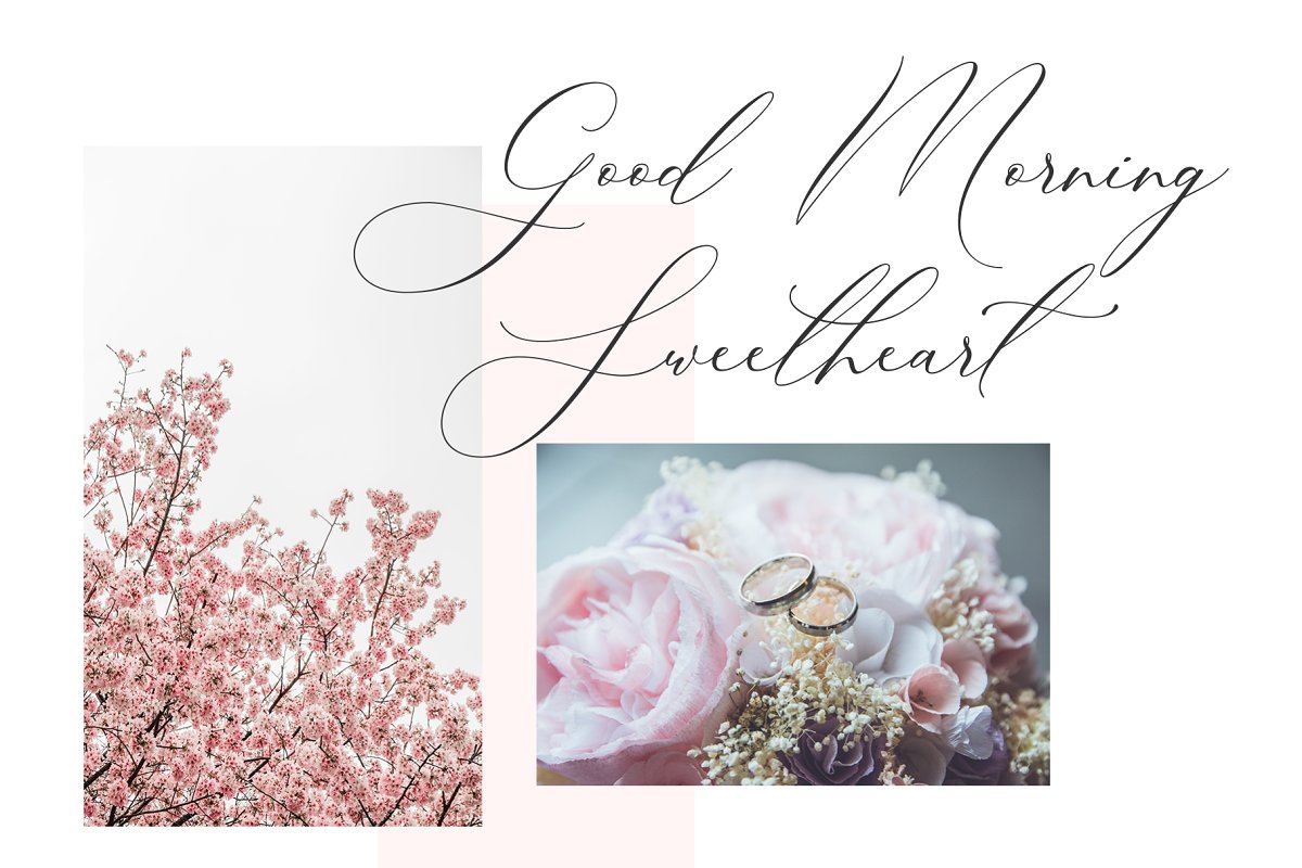 Luxury Font – Boheme Floral插图2