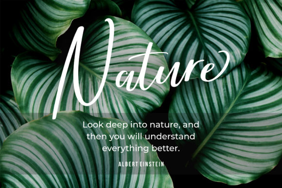 Brightish Font插图2