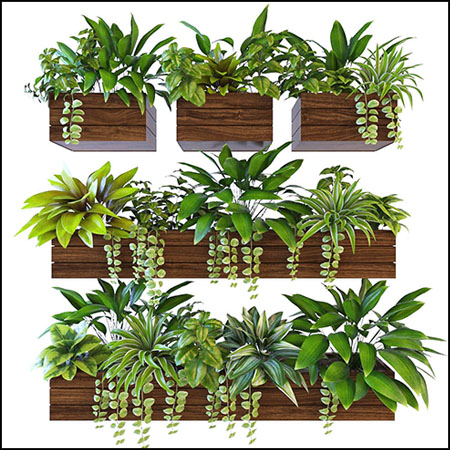 墙上壁挂实木花盆绿色植物素材之家精选3D模型