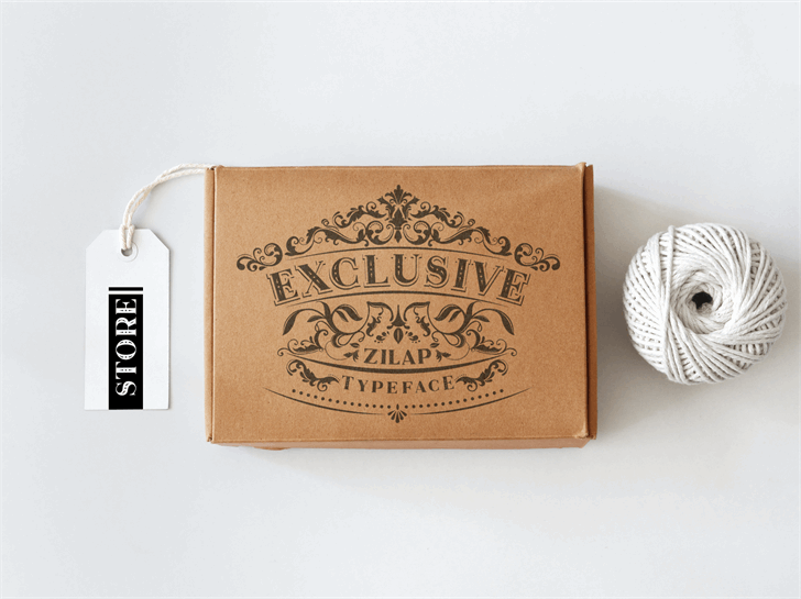 Zilap Exclusive Personal use font插图1