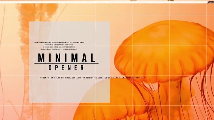 巧妙优雅的网格照片展示素材库精选AE模板