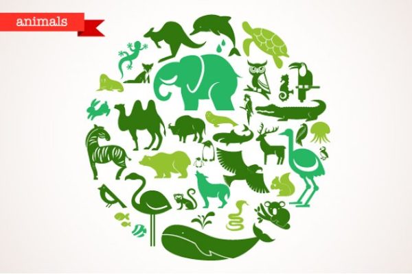 40种动物矢量图标 Animals – set of 40 icons