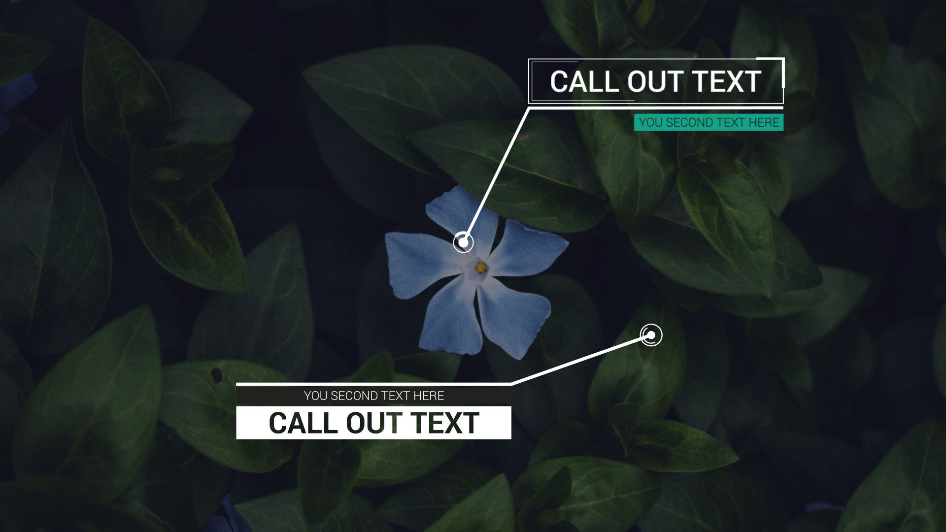 现代标注标题动画素材库精选AE模板