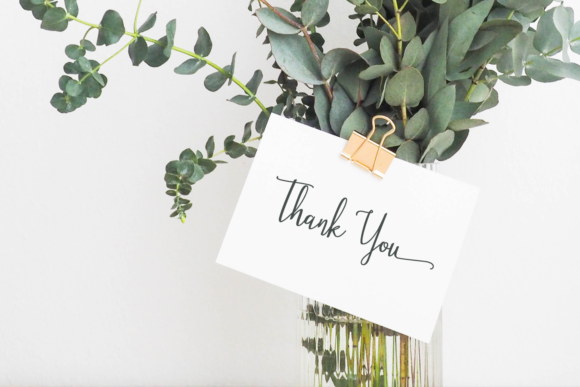 Stellaria Font插图4