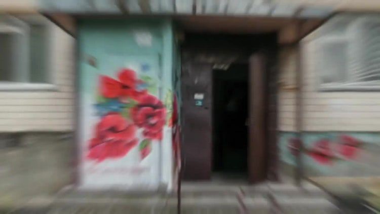 个性时尚动态过渡素材库网精选fcpx模板