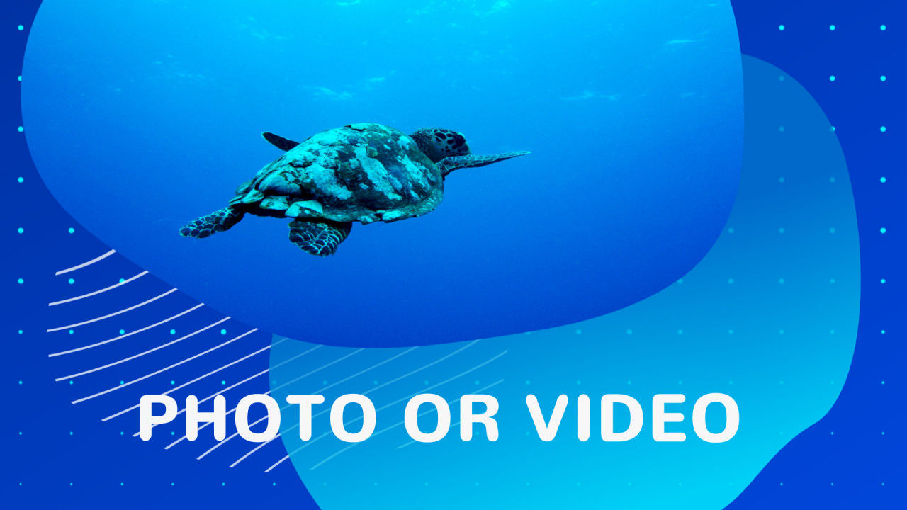 明亮动画彩色动画过渡效果素材库精选AE模板