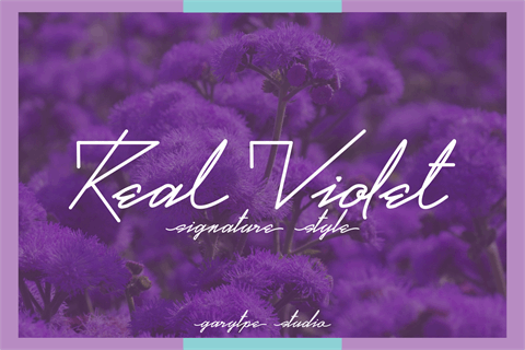 Real Violet Demo font素材之家精选英文字体
