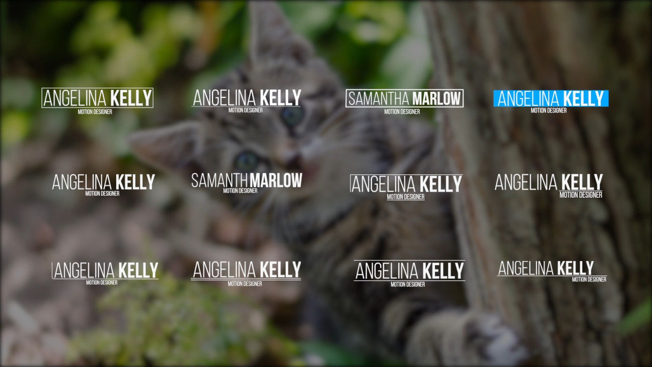 12个独特设计项目下三分之一动画Pr模板