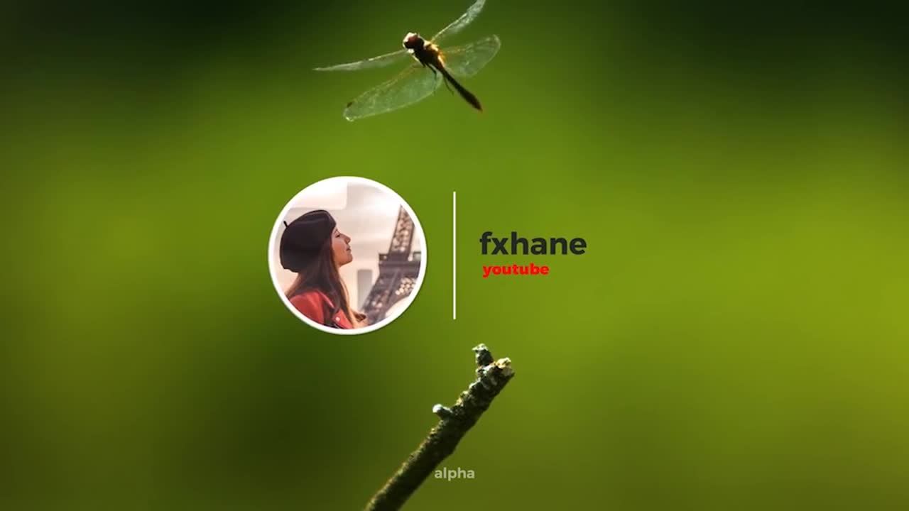 最小的企业徽标素材库精选AE模板