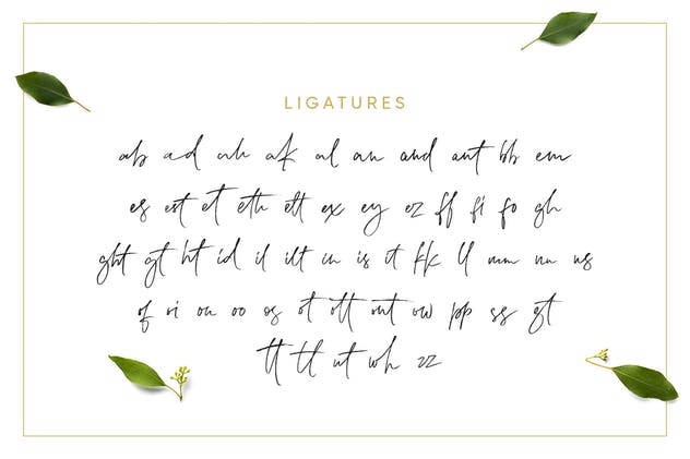 二重奏连体英文＆衬线字体 Lemonade Fonts Duo插图(10)