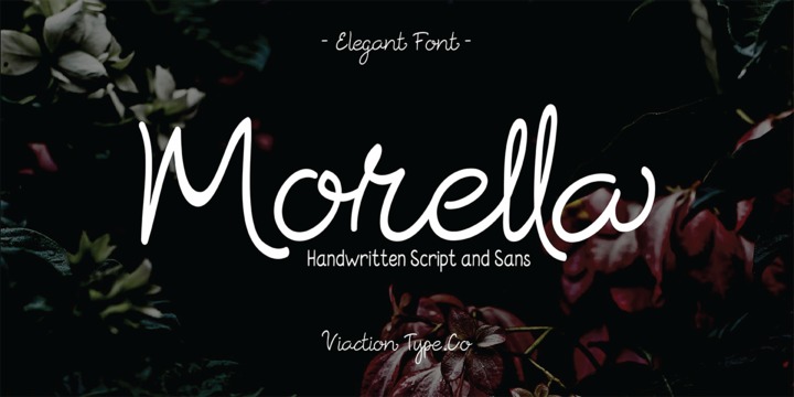 Morella Font Family素材之家精选英文字体