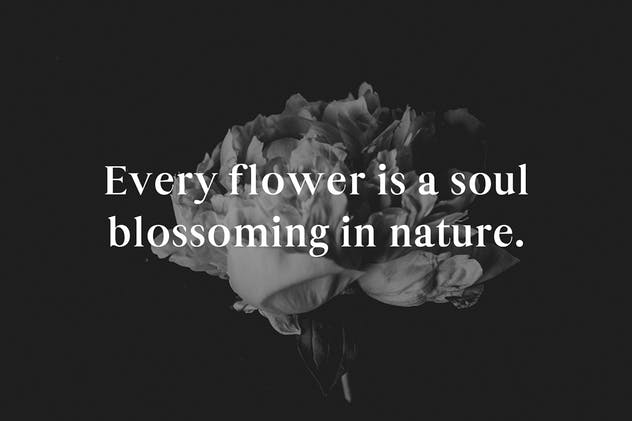 现代极简英文版式设计衬线字体 Maiah Serif Font Family Pack插图(5)