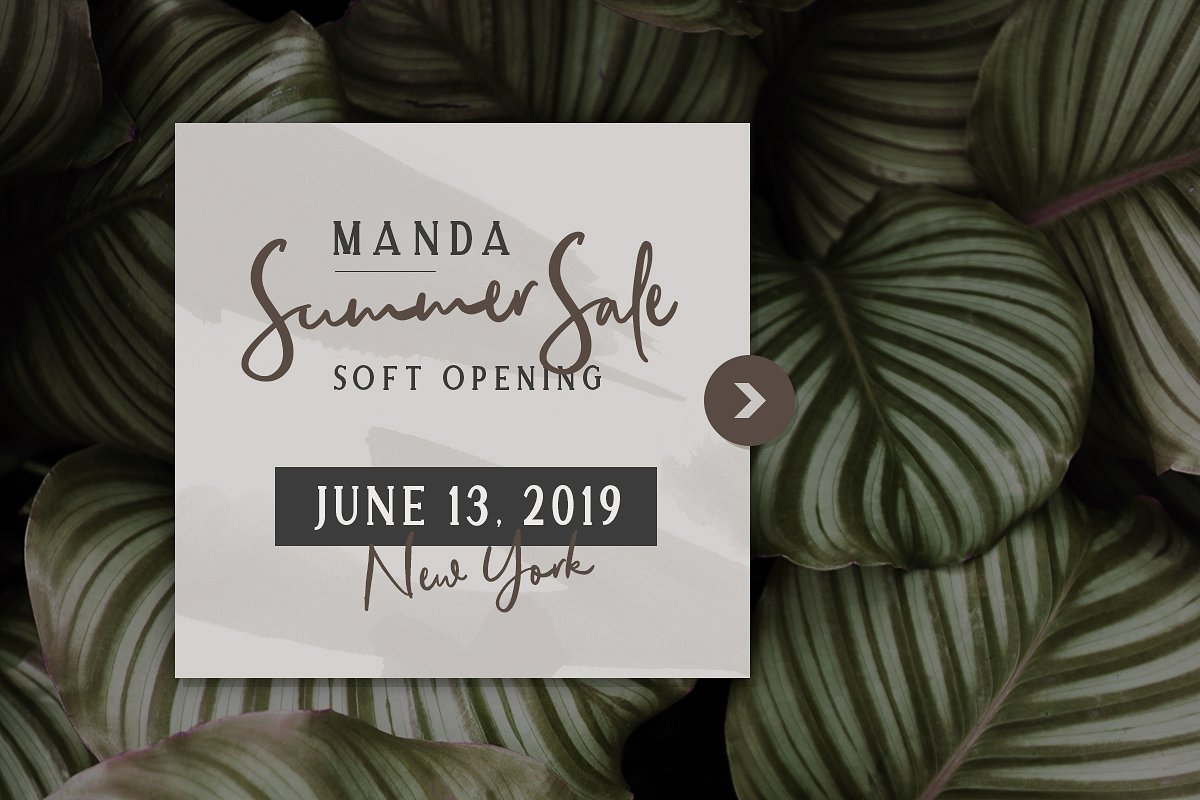 Allison Style – Font Duo插图2