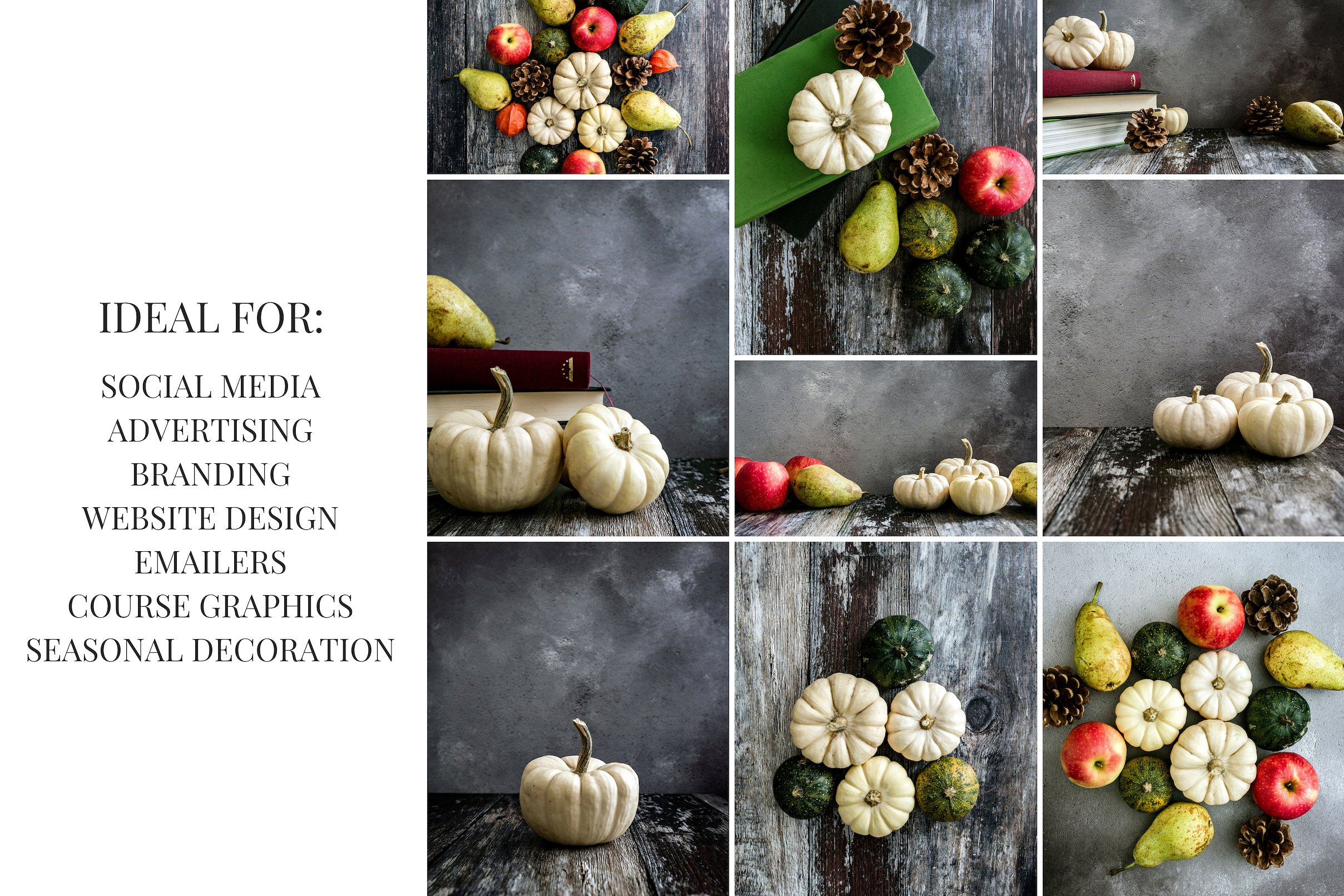 南瓜&梨子主题的社交媒体分享高清图片下载 Pumpkins & Pears [jpg]插图(5)