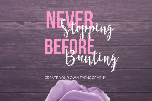 Bellattrix Font插图3