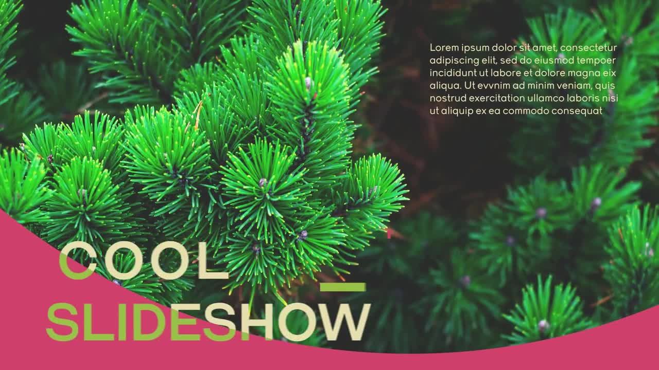 时尚大气的现代幻灯片展示片头素材库精选AE模板