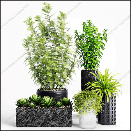 现在盆栽植物花卉素材之家精选3D模型