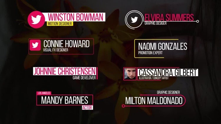 现代漂亮的低三分之二文本标题素材库精选AE模板