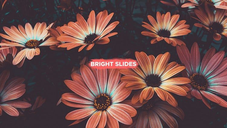 高质量夏季旅游时尚幻灯片素材库精选AE模板