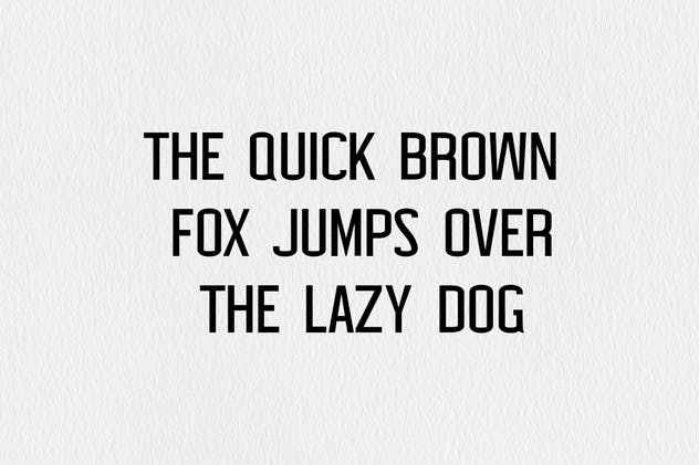 优雅华丽Carolin衬线＆无衬线字体系列下载 Carolin Duo Font Family Pack插图(2)