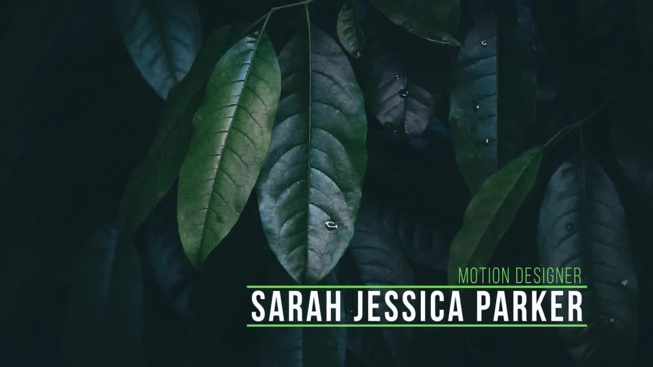 简单的14个下三分之一企业标题素材库精选AE模板