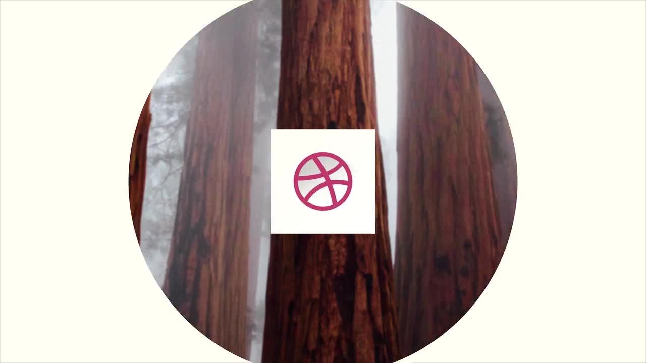 5个动态徽标显示素材库精选AE模板