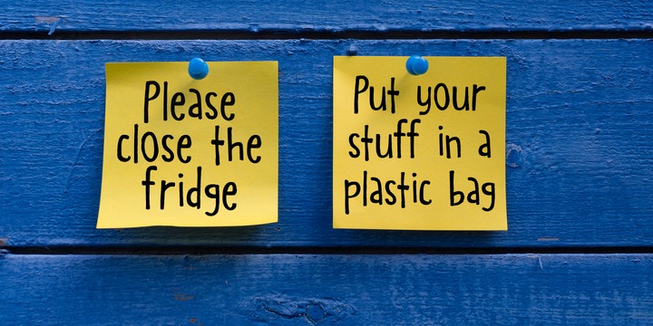 Nippon Note Font Family插图1